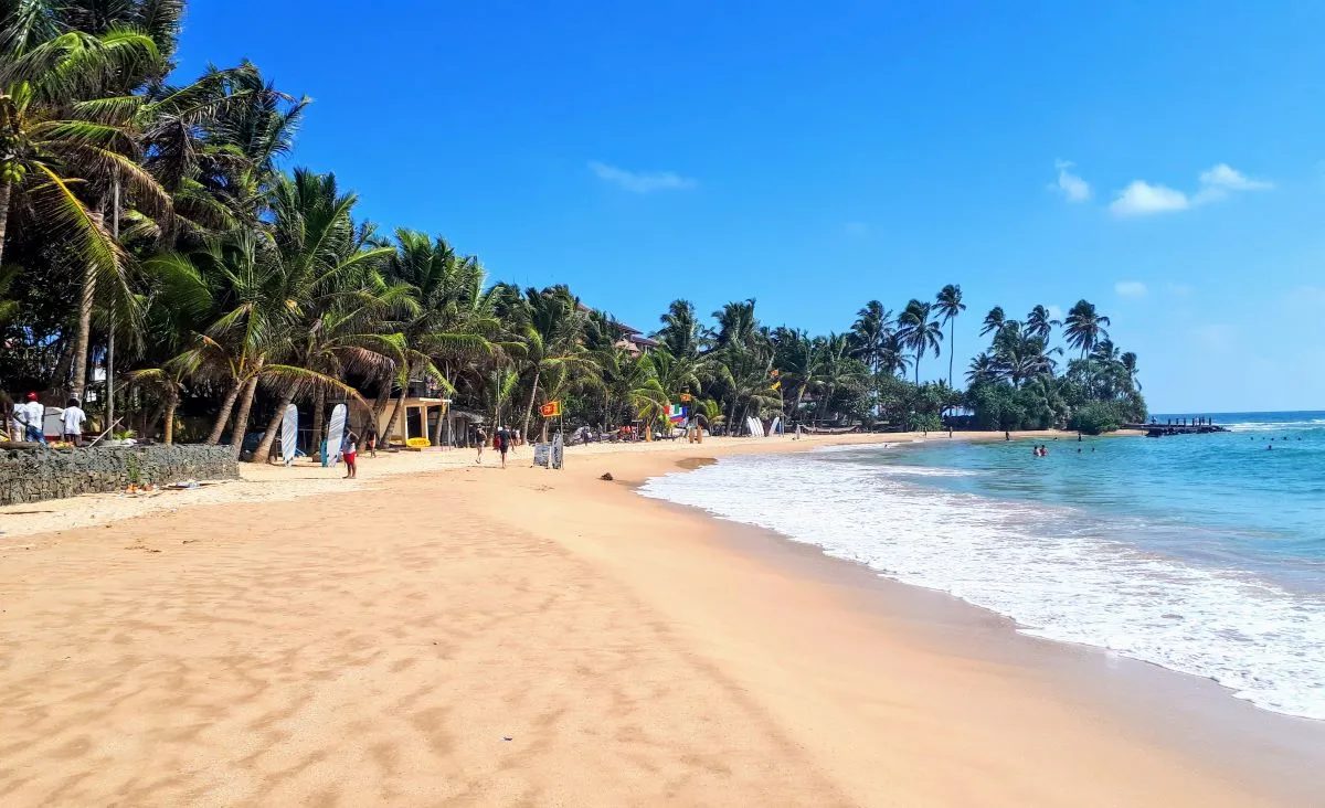 Ein weiter, von Palmen gesäumter Strand an Sri Lankas Südküste, mit Brandung am Sand unter klarem Himmel